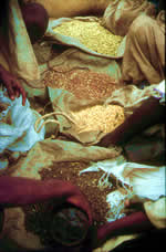 bags of grain in Ethiopia