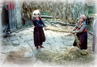 Indian woman in courtyard