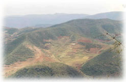 tree-covered mountains in SW China