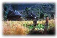 village in Ethiopia