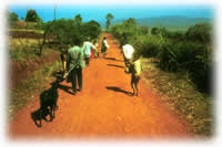 road in Ethiopia