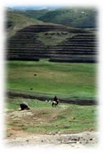 terraces on hillside in Lesotho