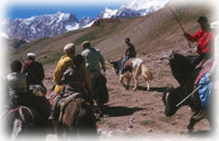 men on horseback in Shimshal, Pakistan