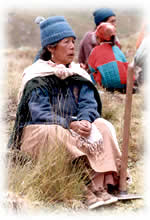 woman in Peru